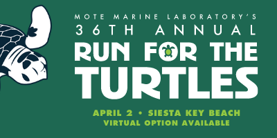 36th Annual Run for the Turtles