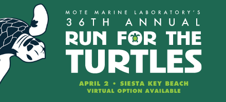 36th Annual Run for the Turtles