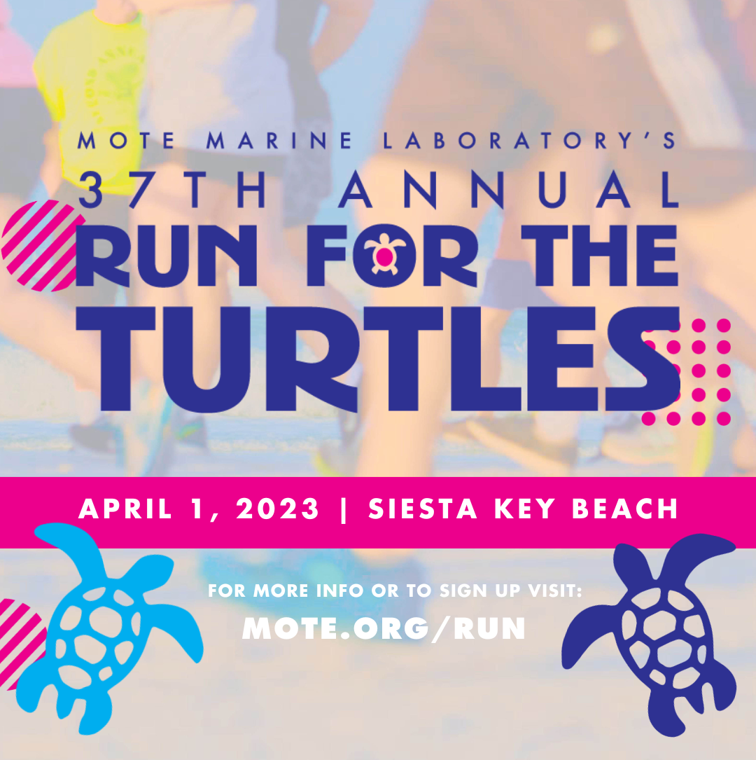 37th Annual Run for the Turtles